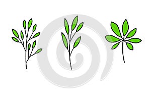 BeautifulÃ¢â¬â¹ leavesÃ¢â¬â¹ isolatedÃ¢â¬â¹ onÃ¢â¬â¹ whiteÃ¢â¬â¹ backgroundÃ¢â¬â¹